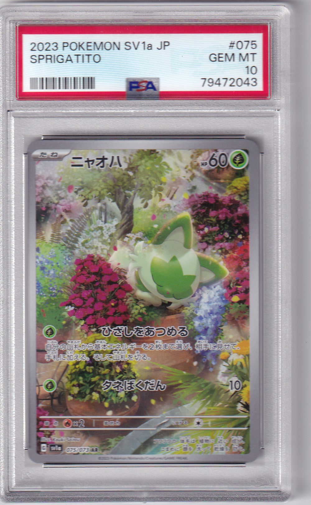 PSA 10 Sprigatito – Art Rare #075/073 – Japanisch | Pokémon SV1a